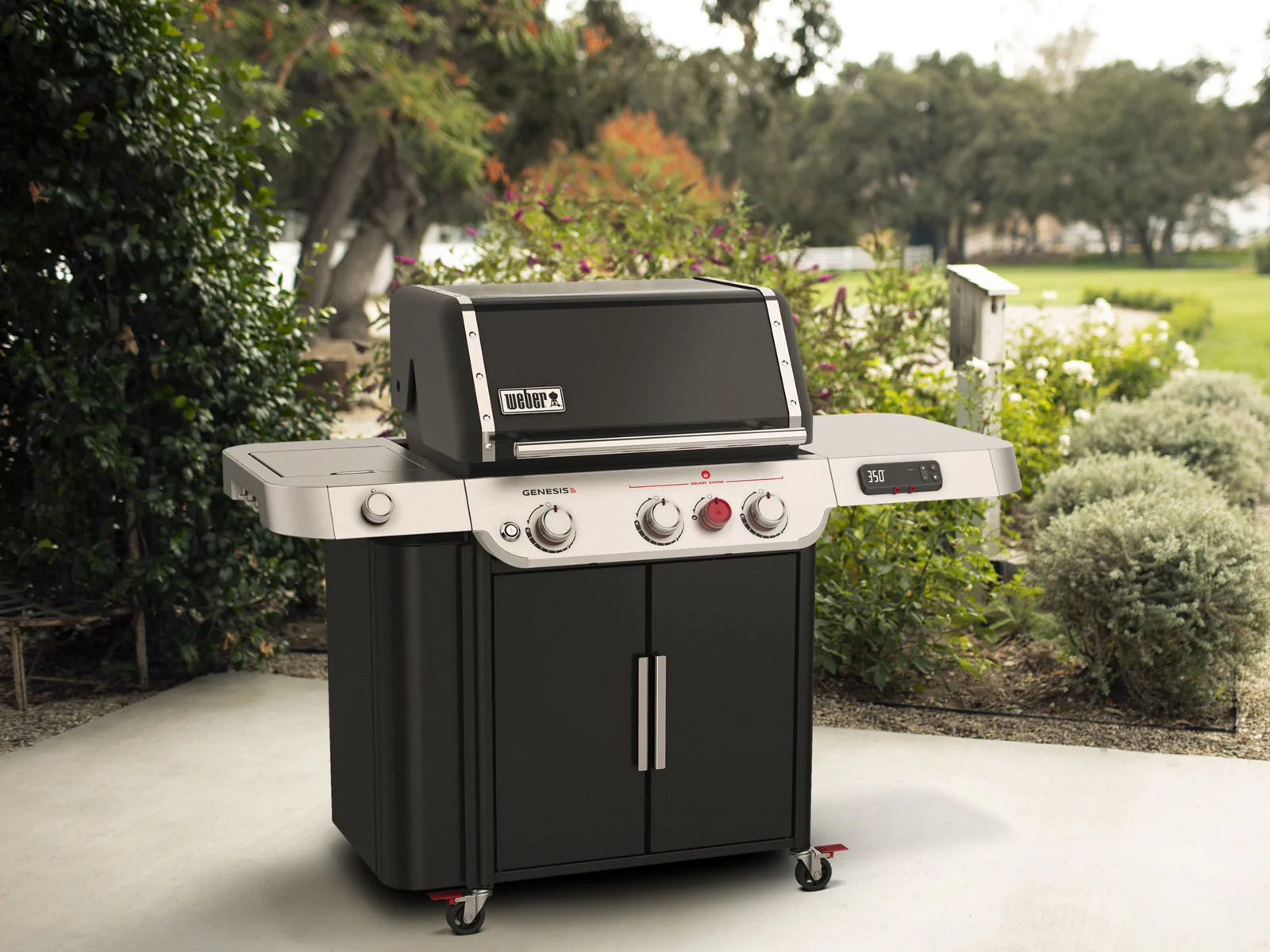 Weber Genesis Range