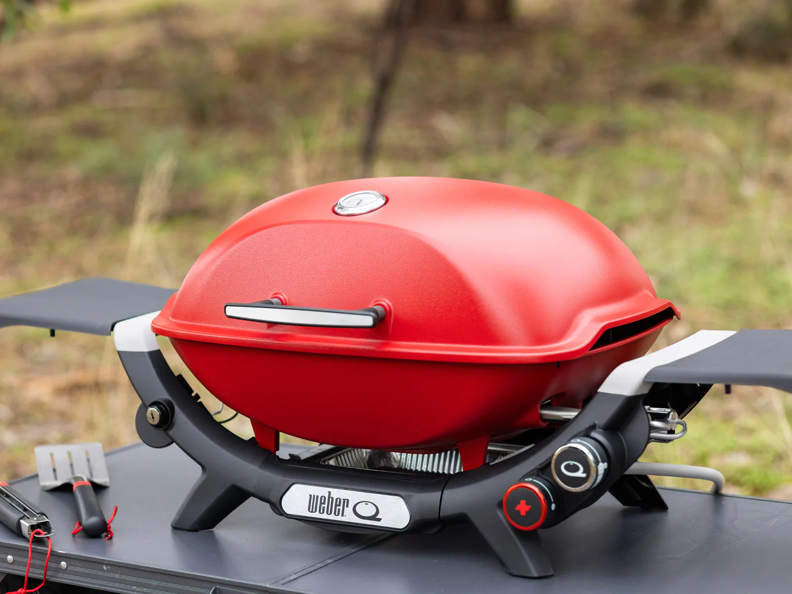 New Weber Q Plus Series