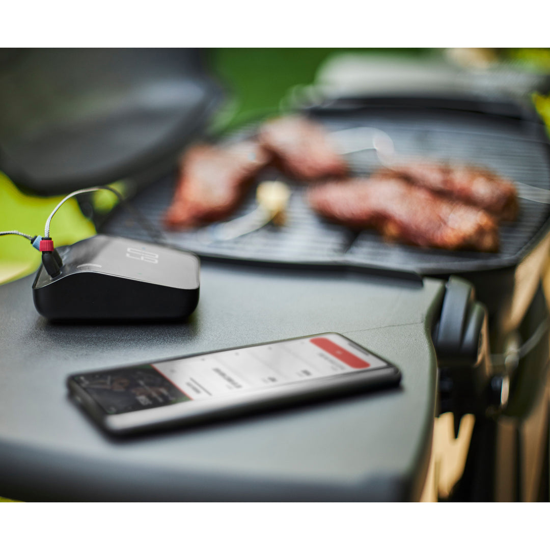 Weber Connect Smart Barbecue Hub